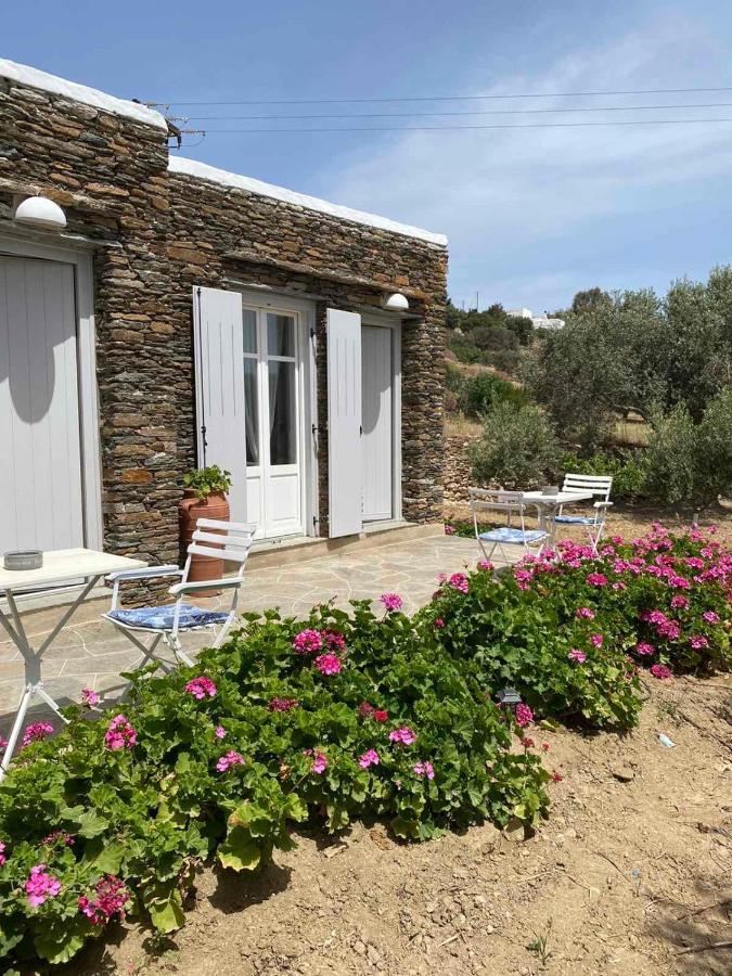 Rose * Apollonia (Sifnos)